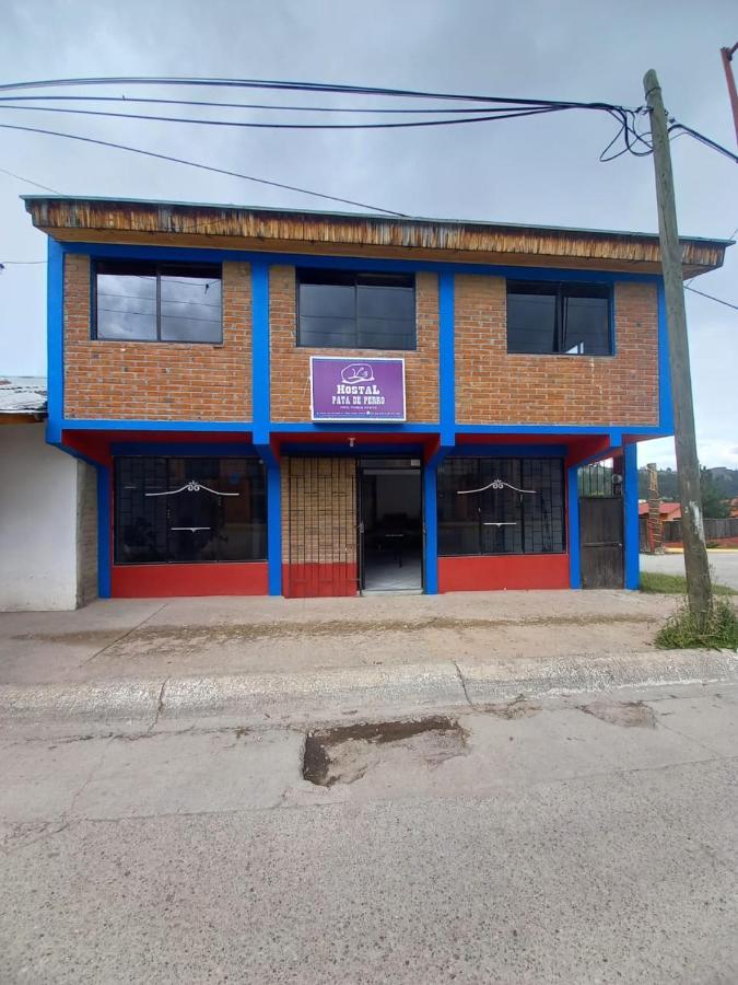 Hostal Pata De Perro Creel Exterior foto